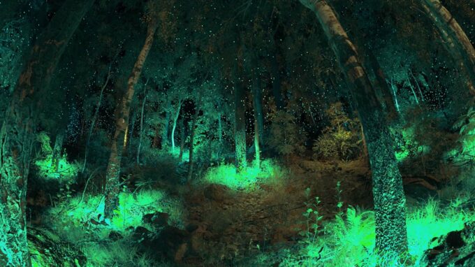 Animerad grön skog i 2D.